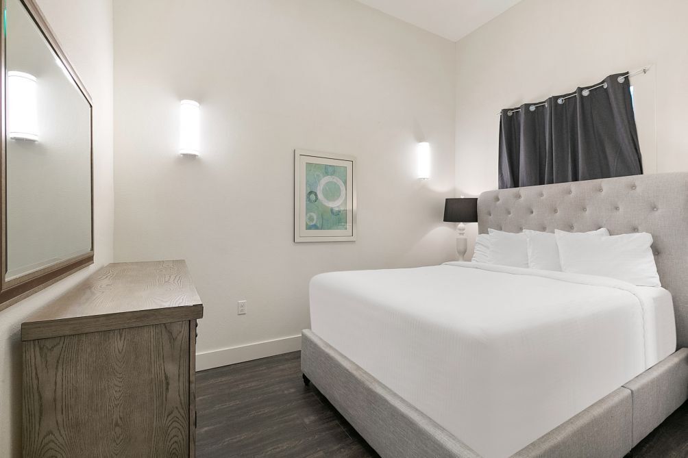 Chic and Roomy Urban Getaway in New Orleans