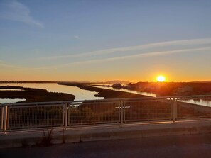 Property grounds - Maison de Vacances (Vic-la-Gardiole)