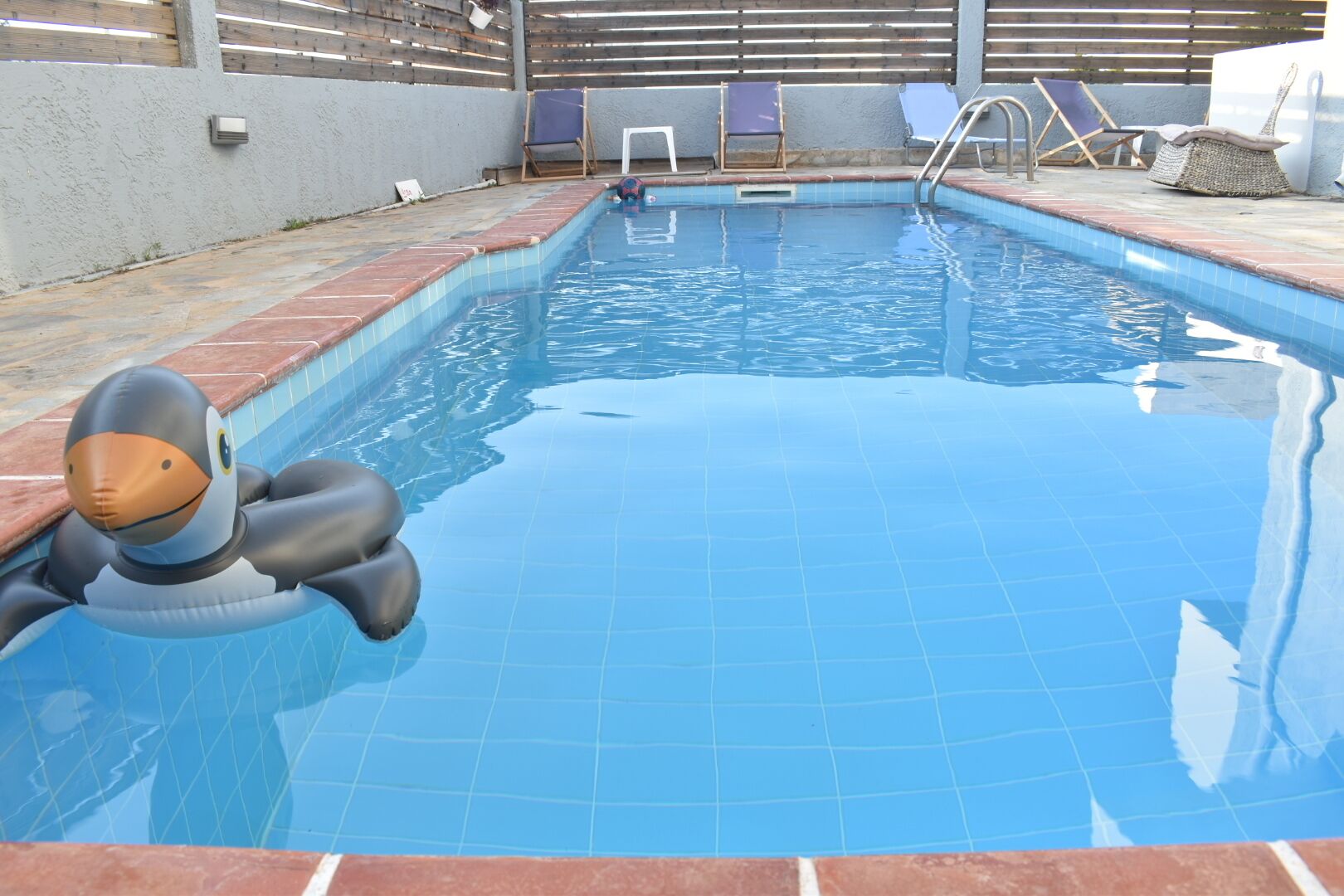 En pool med blå kakel runt kanten, ett trädäck och solstolar.