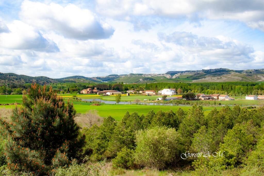 Un paysage rural avec des champs verdoyants, un petit plan d’eau et quelques bâtiments dispersés.