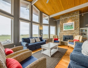 Smart TV, chimenea, reproductor de DVD y libros