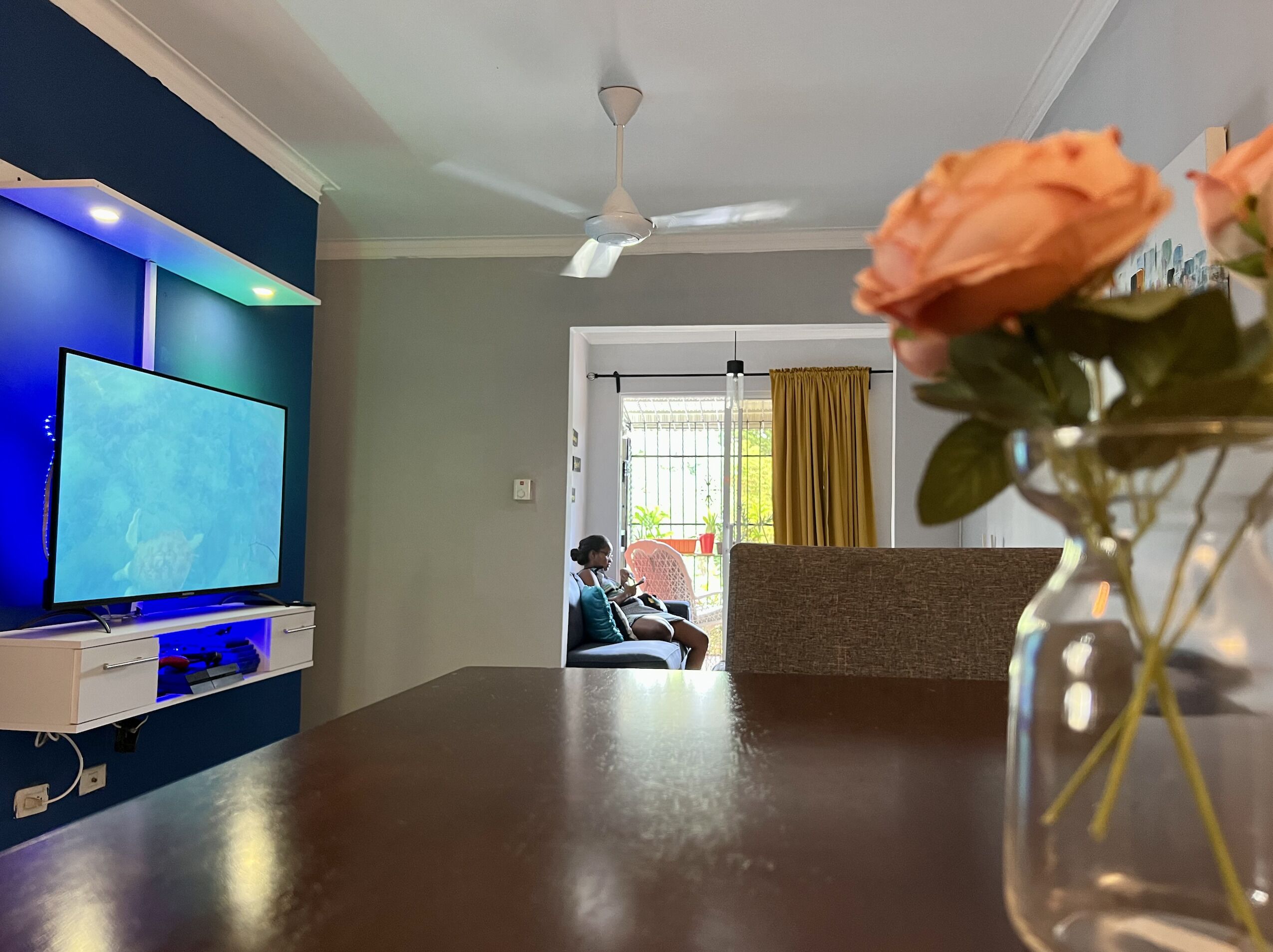 A living room with a TV, a ceiling fan, a vase with a rose, and a view of a person sitting by a window.