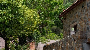 A stone staircase leading up to a building with a tiled roof, surrounded by lush greenery and trees. - Calypso Villa with Jacuzzi Pool & Sea View (Dafni)