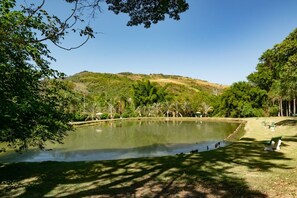 Lago