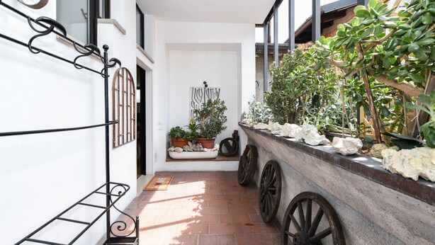 Un estrecho pasillo con pared blanca, un banco de madera, plantas en macetas y un adorno mural.