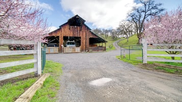 Huis (3 Bedrooms) | Interieur