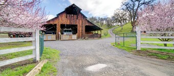 30-acre Witter Springs Ranch w/ Barn & Views!