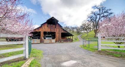 30-acre Witter Springs Ranch w/ Barn & Views!