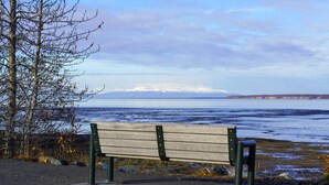 A bench by a lakeside with a mountain in the background. - Alluring Anchorage Apt - Walk to Coastal Trl! (Anchorage)