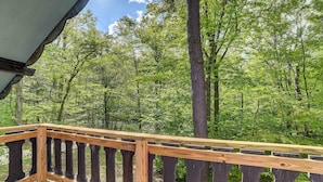 Eine Holzterrasse mit Geländer, mit Blick auf eine bewaldete Landschaft.