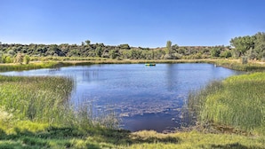 A calm lake with a small boat, surrounded by lush greenery and trees. - 'ali River Farms' Breathtaking Mt Backdrop! (Clifton)
