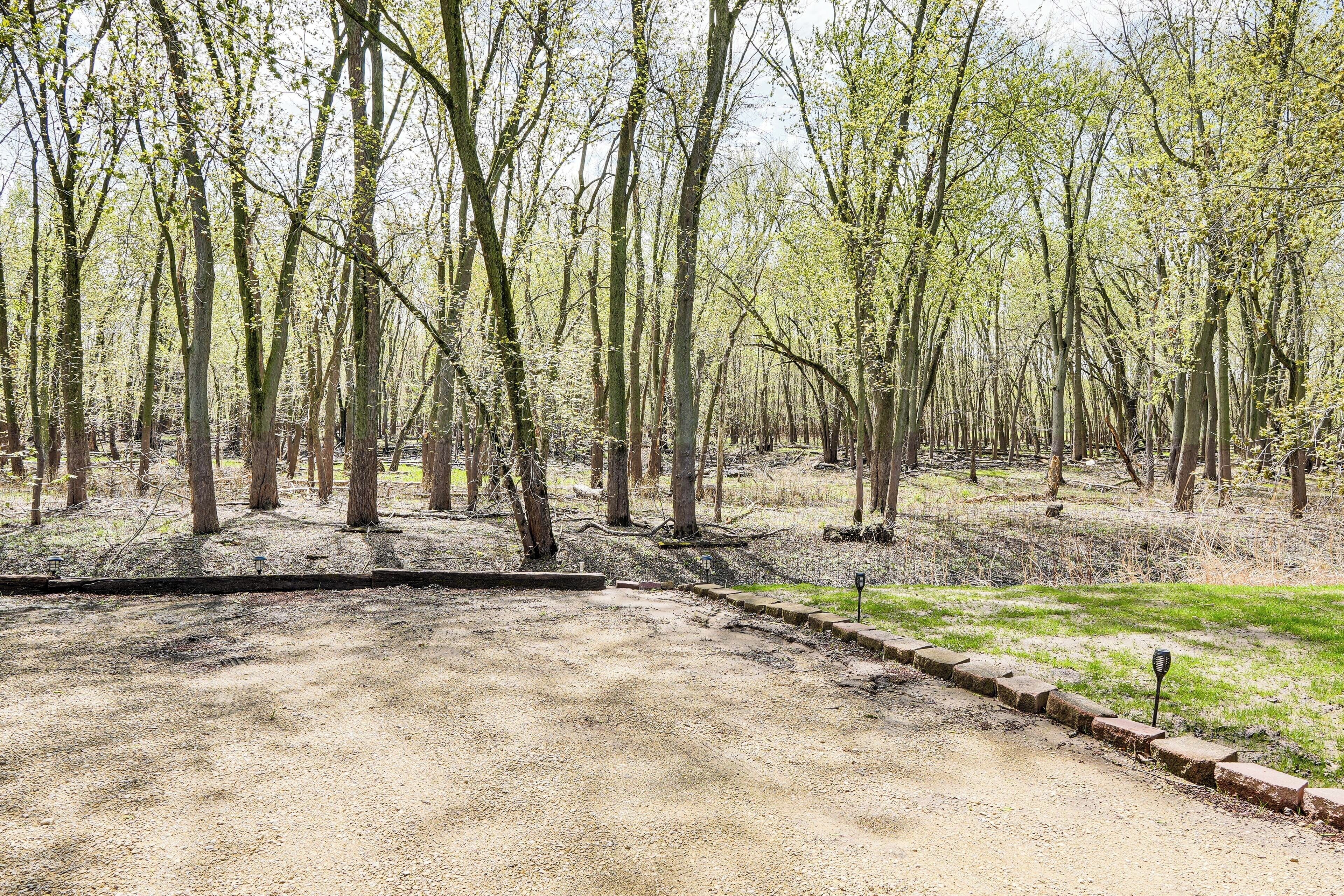 A forested area with a dirt path and a paved section.