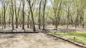 A forested area with a dirt path and a paved section.