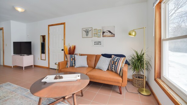 Un salon avec un canapé, une table basse, un téléviseur et une plante.