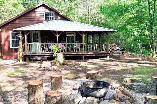 Cabin on Mountain Stream, Surrounded by Forest