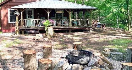 Cabin on Mountain Stream, Surrounded by Forest