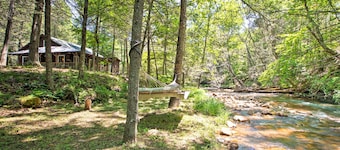 'clearwater Cabin' on 10 Acres w/ Trout Stream!