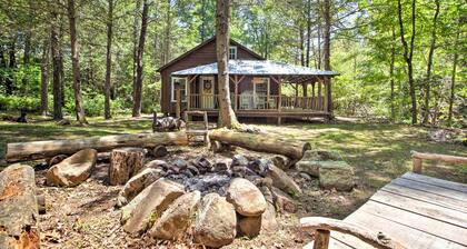 'clearwater Cabin' on 10 Acres w/ Trout Stream!