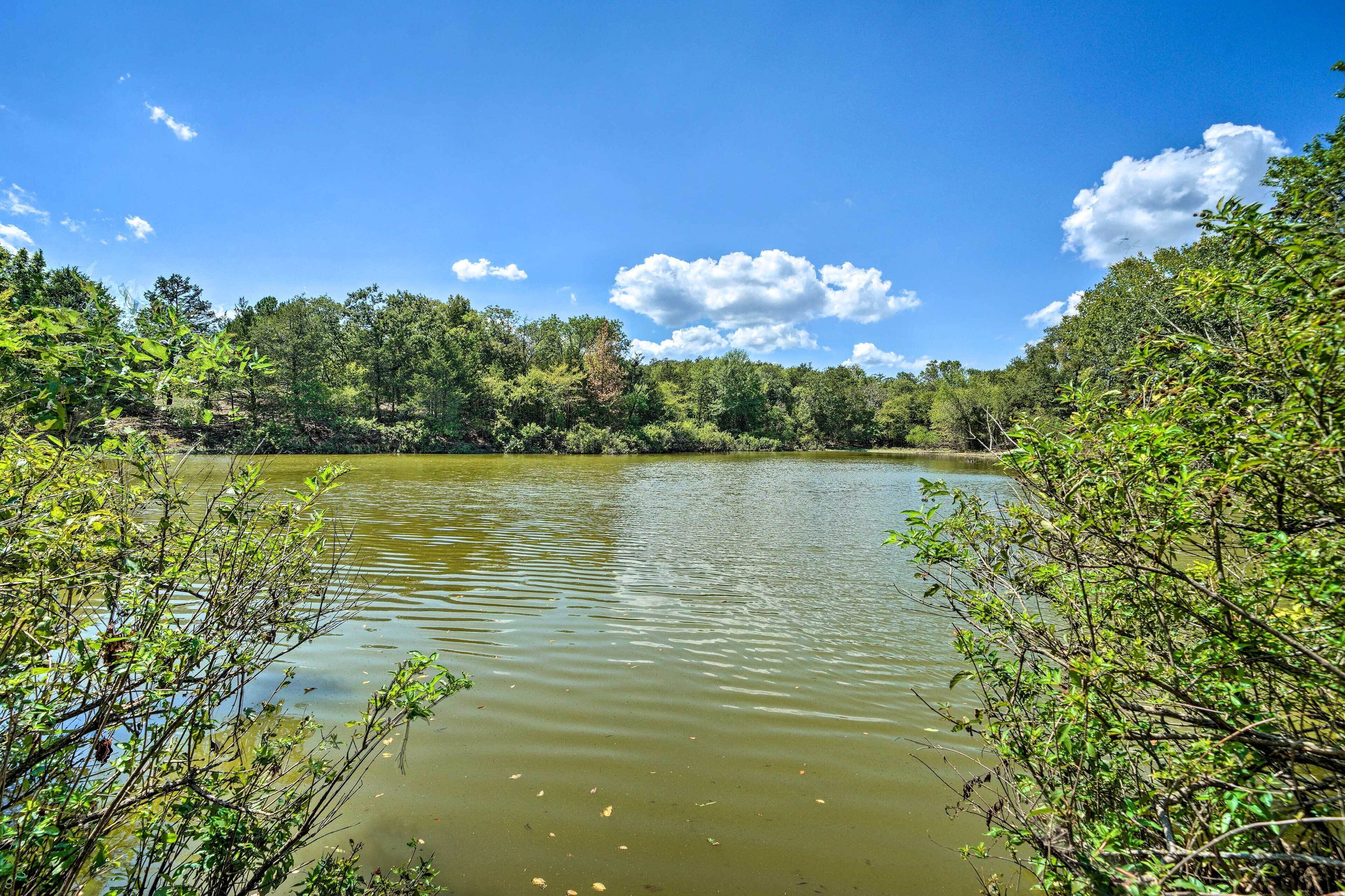 A calm lake surrounded by dense greenery and trees under a clear blue sky.