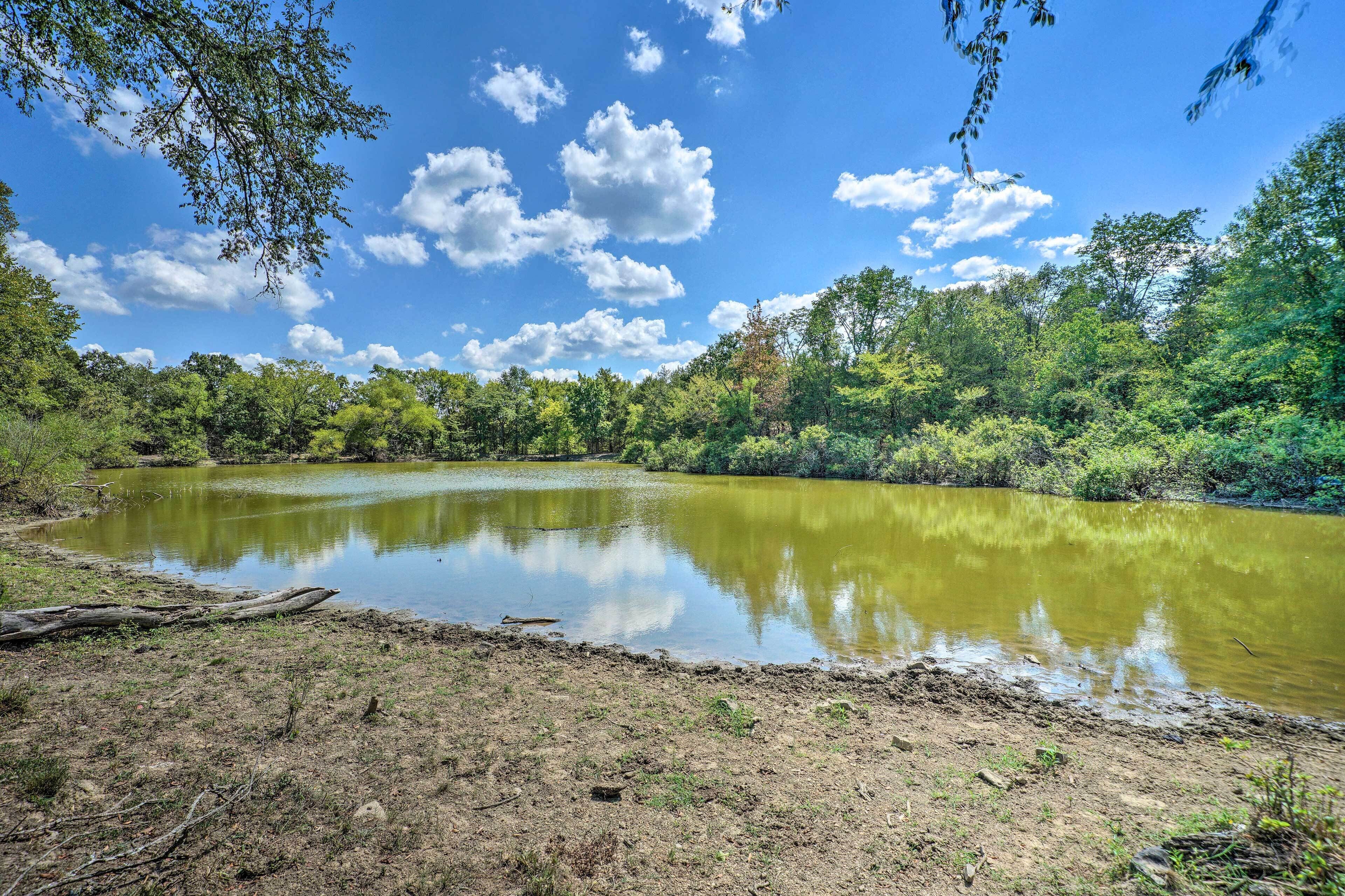 Un paisaje natural con una masa de agua tranquila rodeada de abundante vegetación y árboles.