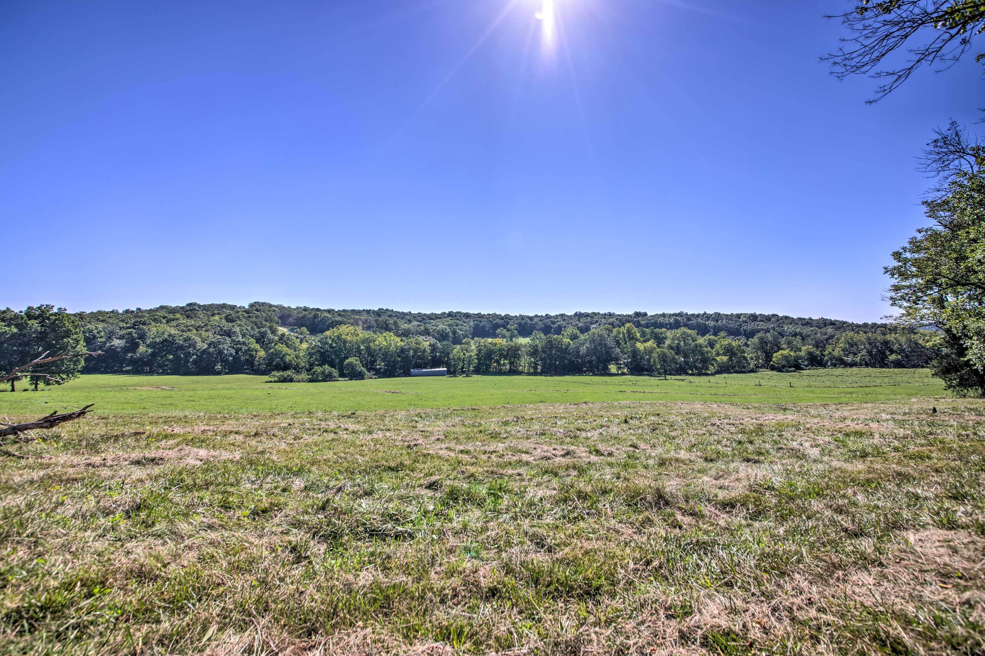 A grassy field with a clear sky and a distant forested hill.