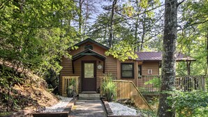 A rustic cabin with a front porch, surrounded by dense forest.