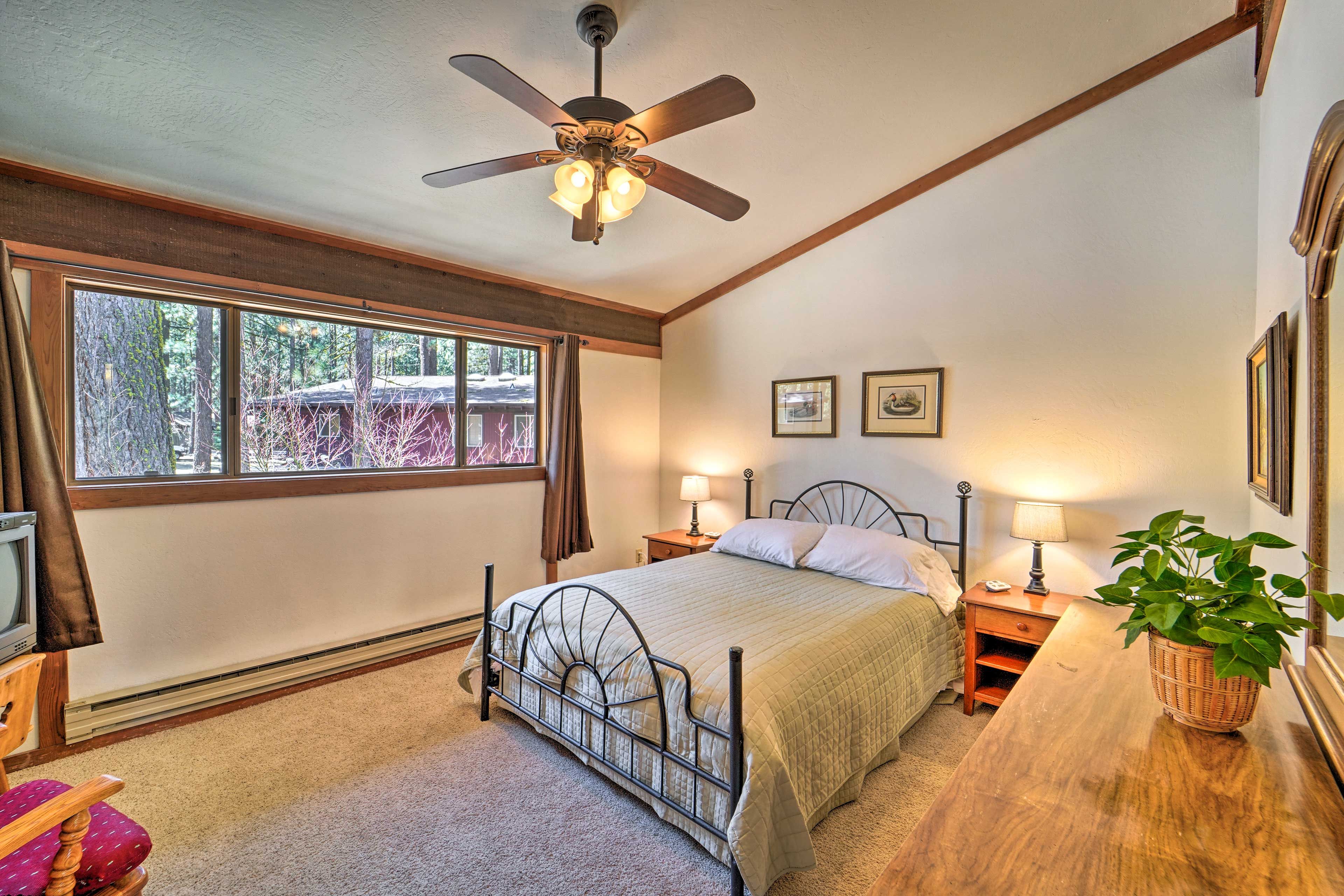 A bedroom with a bed, a ceiling fan, a window, a nightstand, a lamp, and a plant.