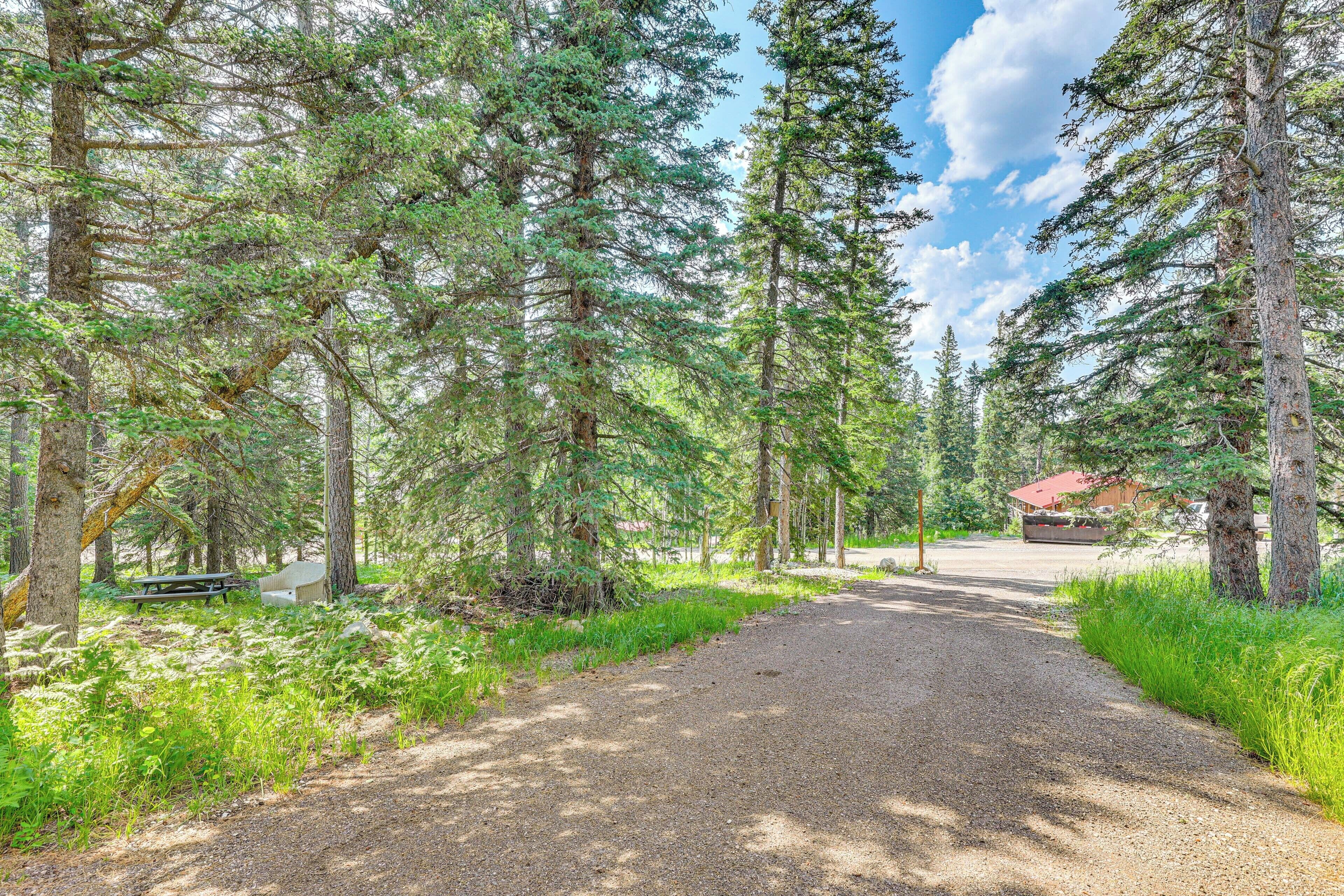 A forested area with a gravel path, a picnic table, and a building in the background.
