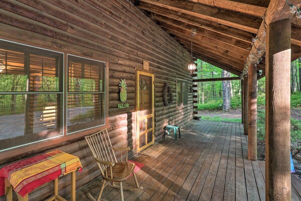 Interior - Serene Brevard Cabin ~ 7 Miles to State Forest! (Brevard)