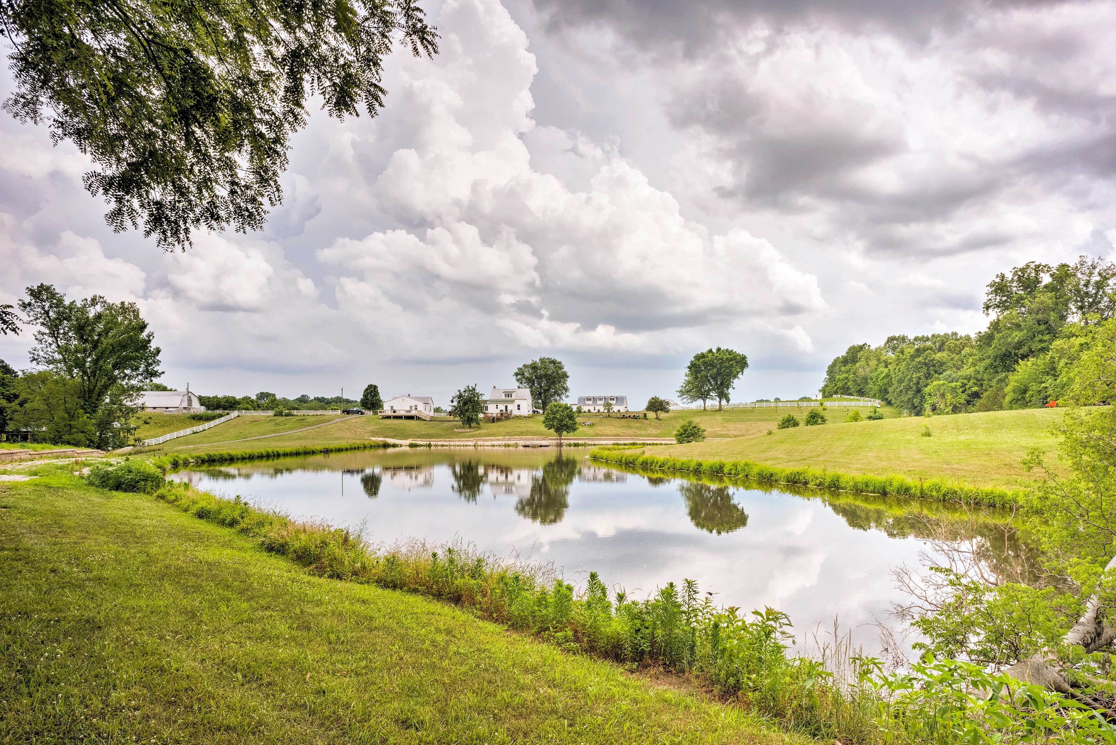 A serene landscape with a pond reflecting the sky, surrounded by grassy fields and trees.