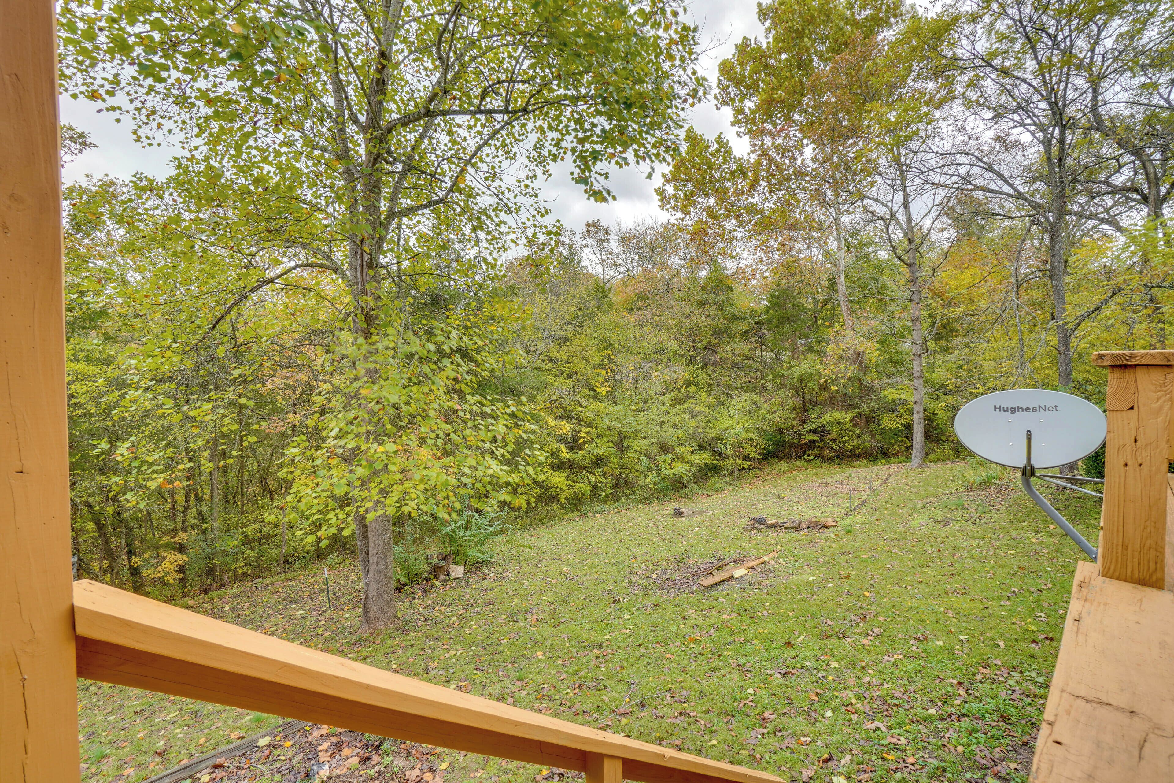 A view of a wooded area with a satellite dish on a wooden structure.