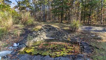 A stone pathway leading to a pond with lily pads and surrounded by a forest.