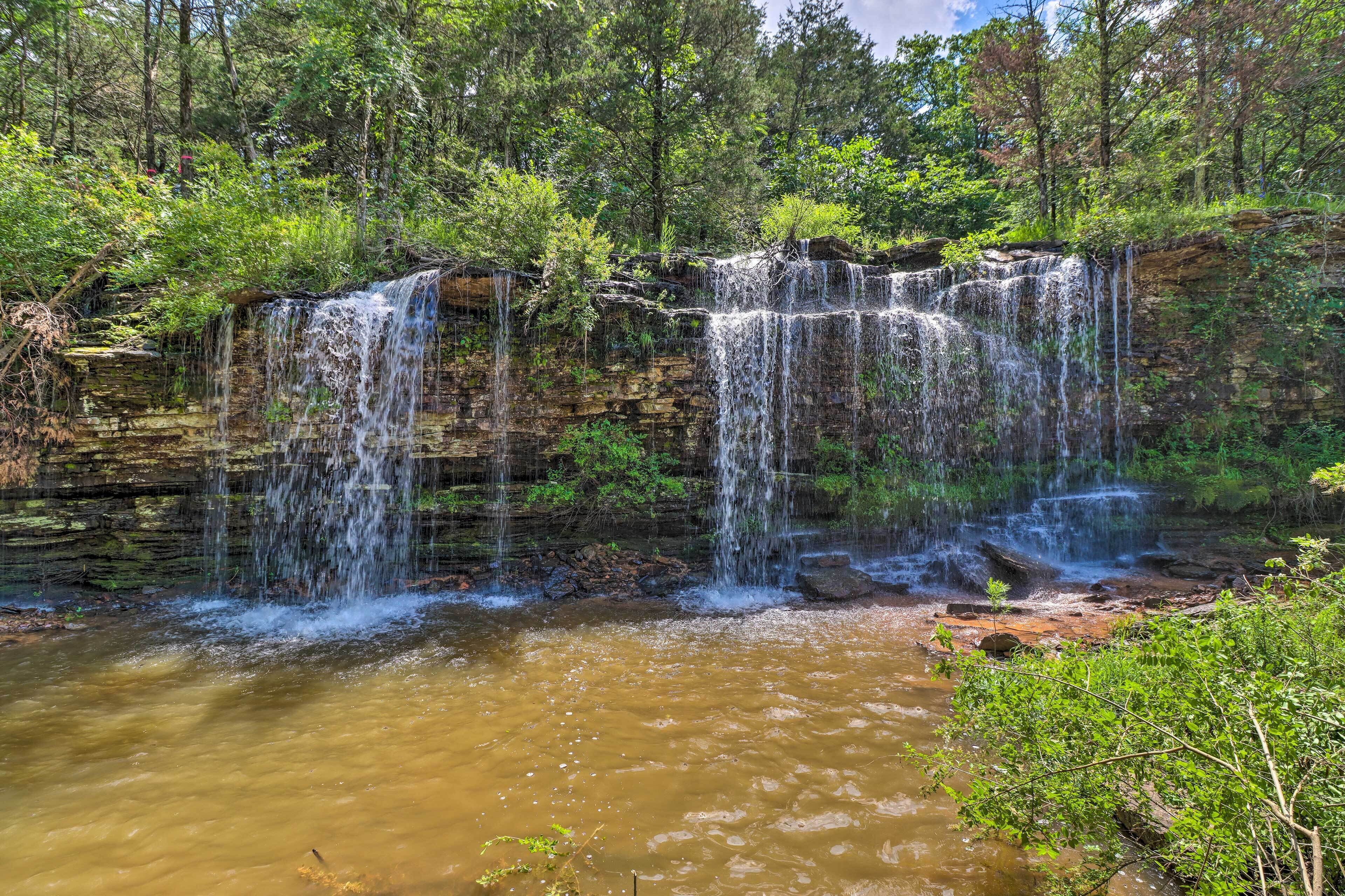 Ein Wasserfall stürzt über eine felsige Klippe in einen ruhigen Fluss, umgeben von dichtem Wald.
