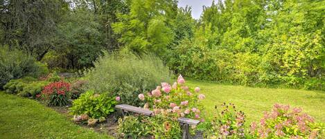 A garden with a wooden bench, various flowering plants, and dense trees in the background.