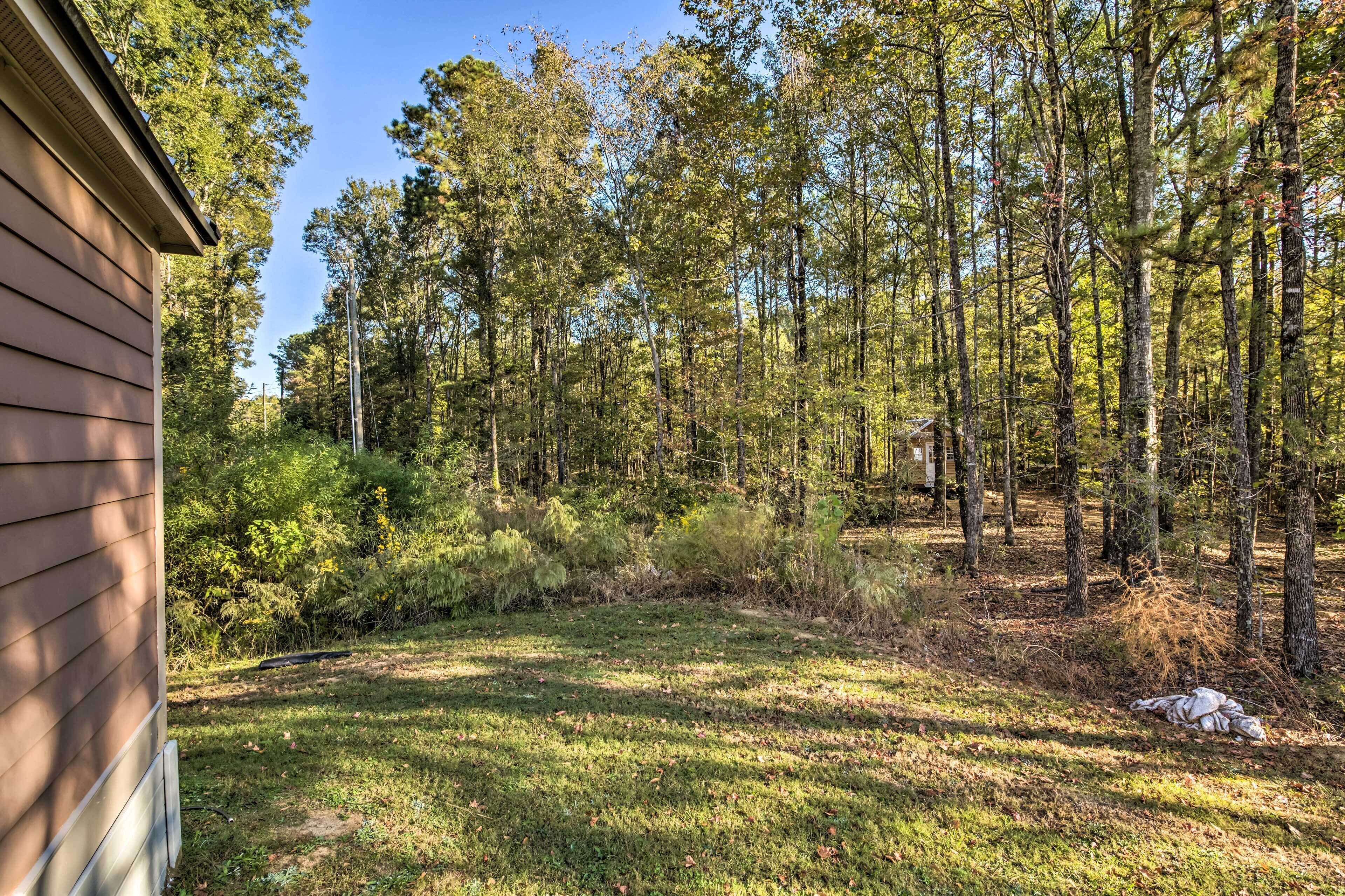 A wooded area with a house, surrounded by tall trees and dense underbrush.
