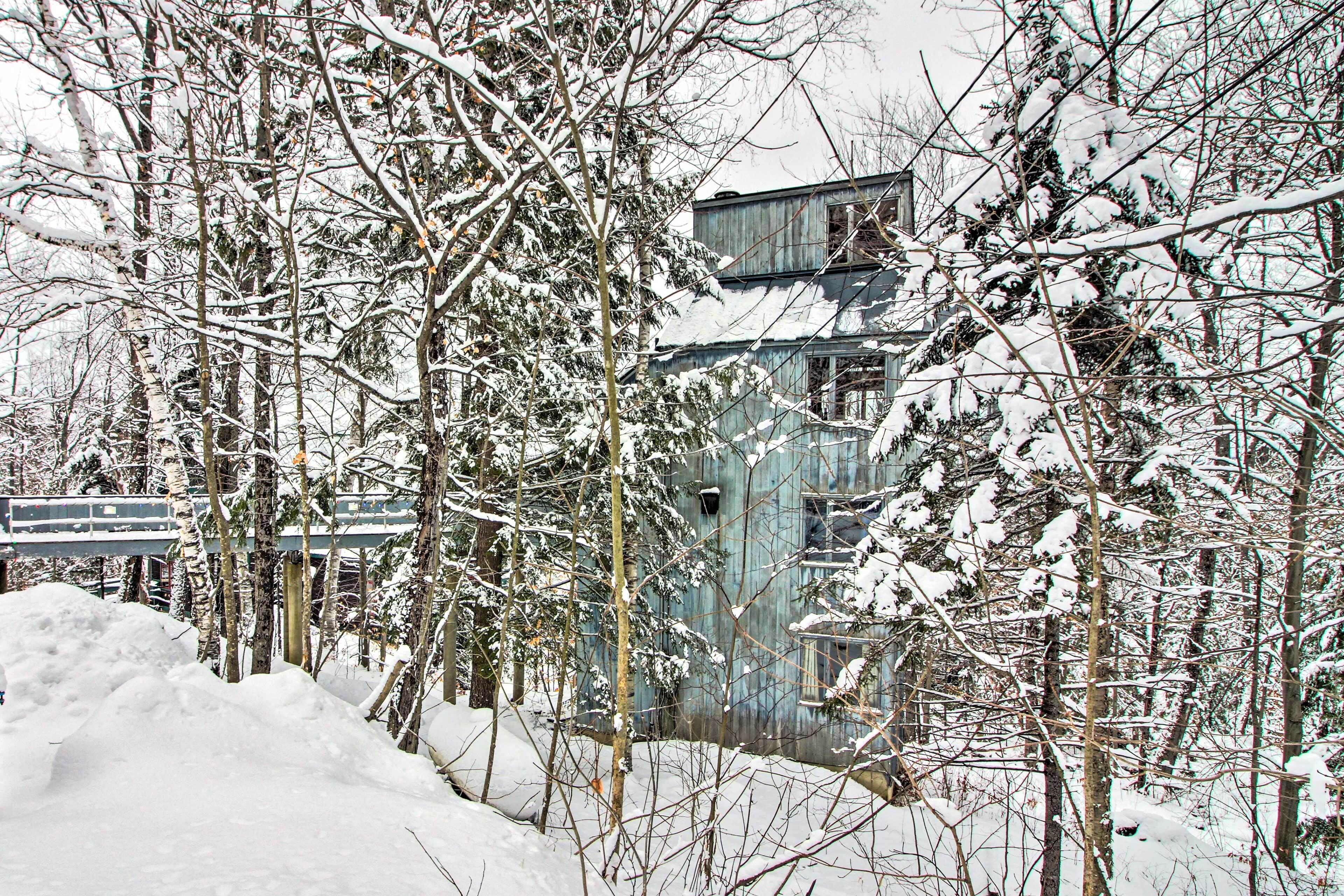 Un edificio cubierto de nieve rodeado de árboles.