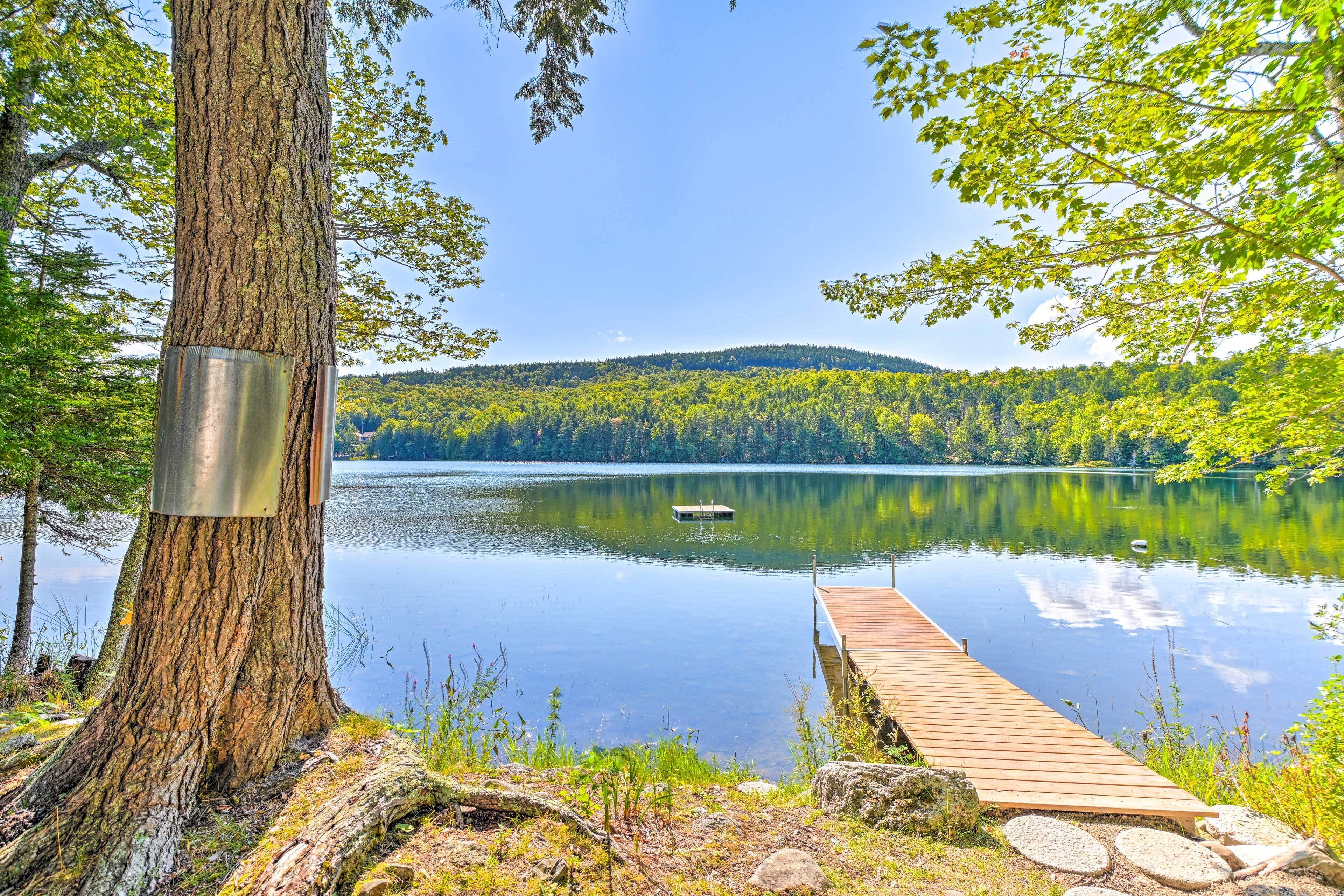A tranquil lakeside scene with a dock extending into calm waters, surrounded by lush greenery and a clear sky.