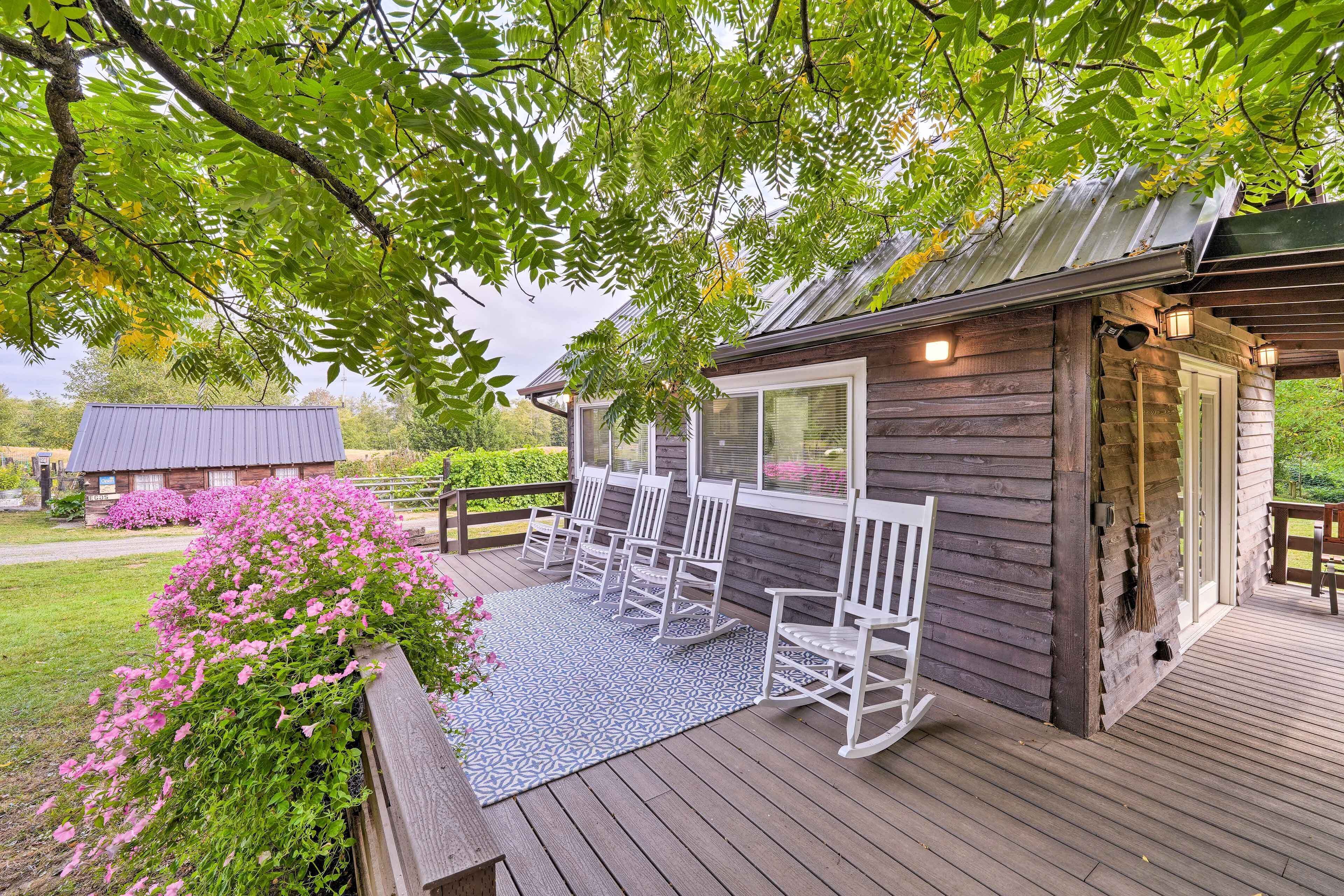 Cozy Ferndale Studio on 20-acre Working Farm!