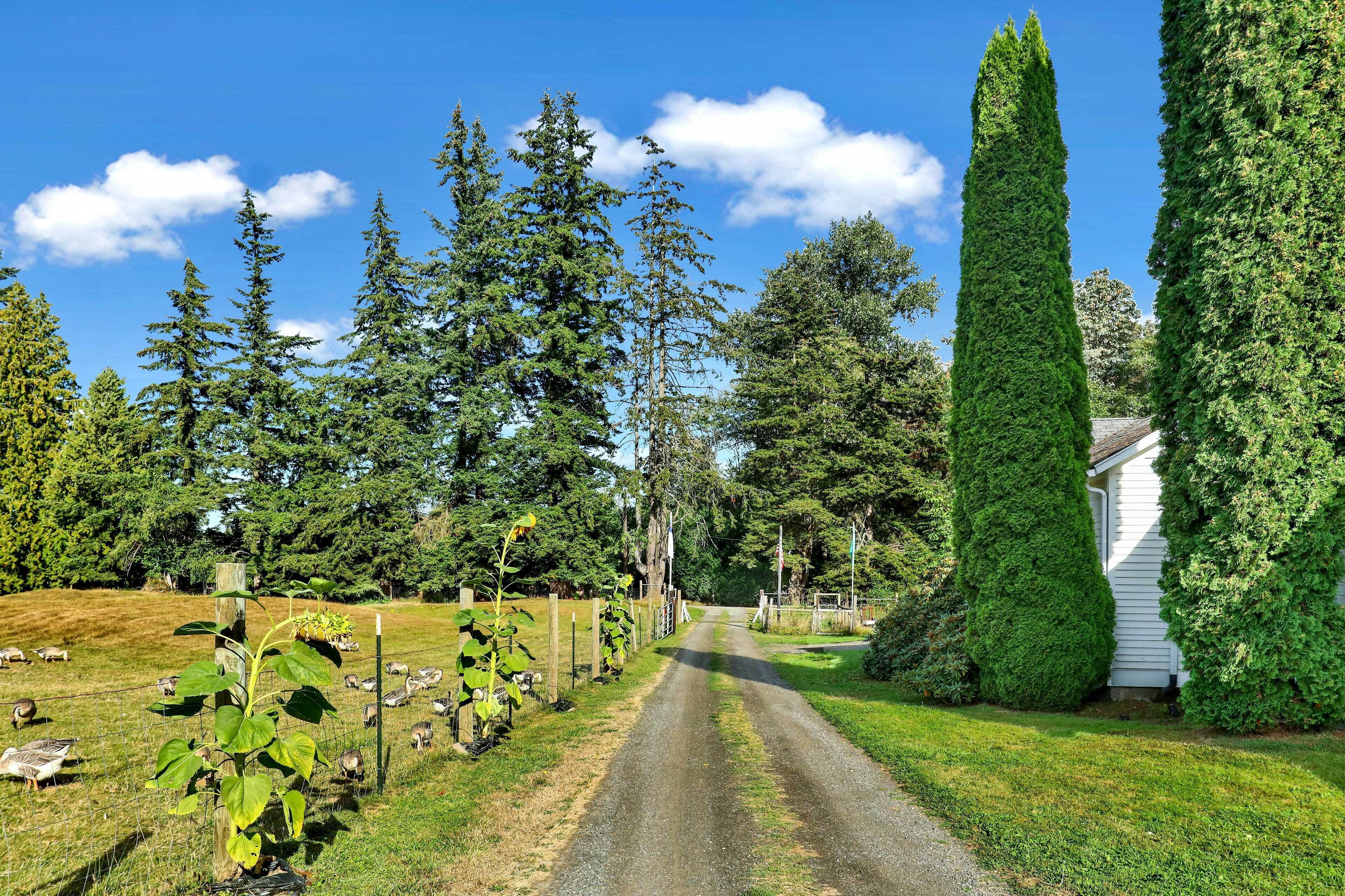 Apartment (0 Bedroom) | Interior