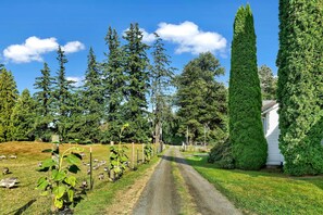 Apartment (0 Bedroom) | Interior