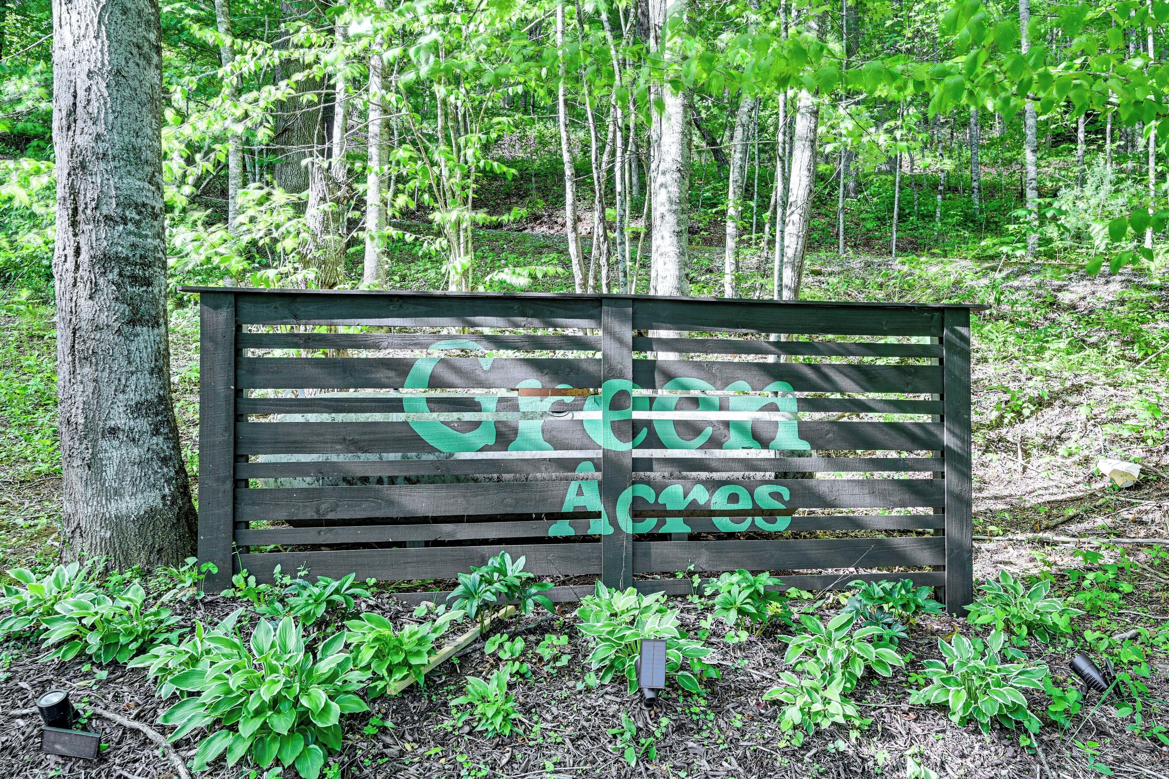 Un panneau en bois, orné de graffitis verts, dans une zone boisée.