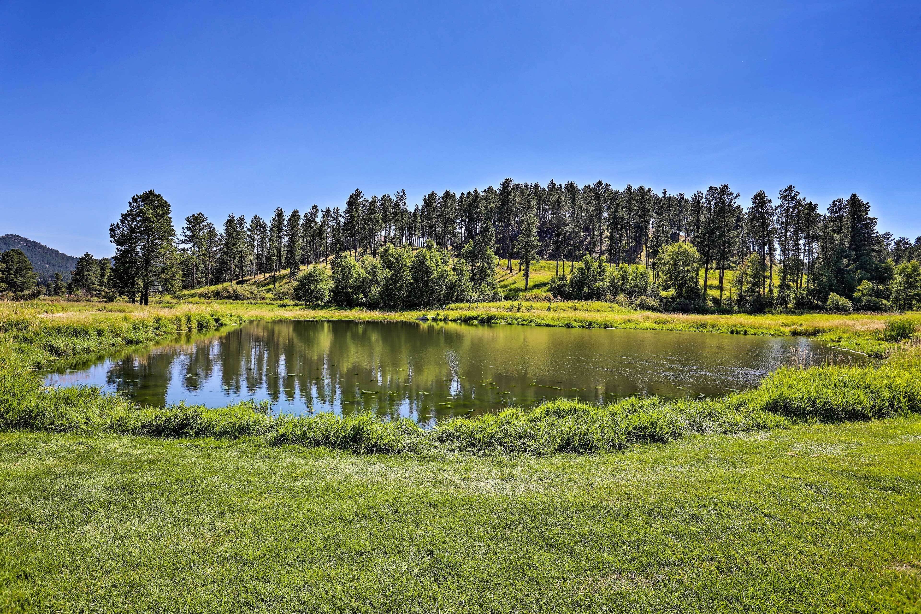 A serene landscape with a pond surrounded by lush greenery and a dense forest in the background.