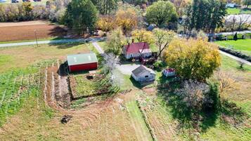 Cottage (3 Bedrooms) | Interior