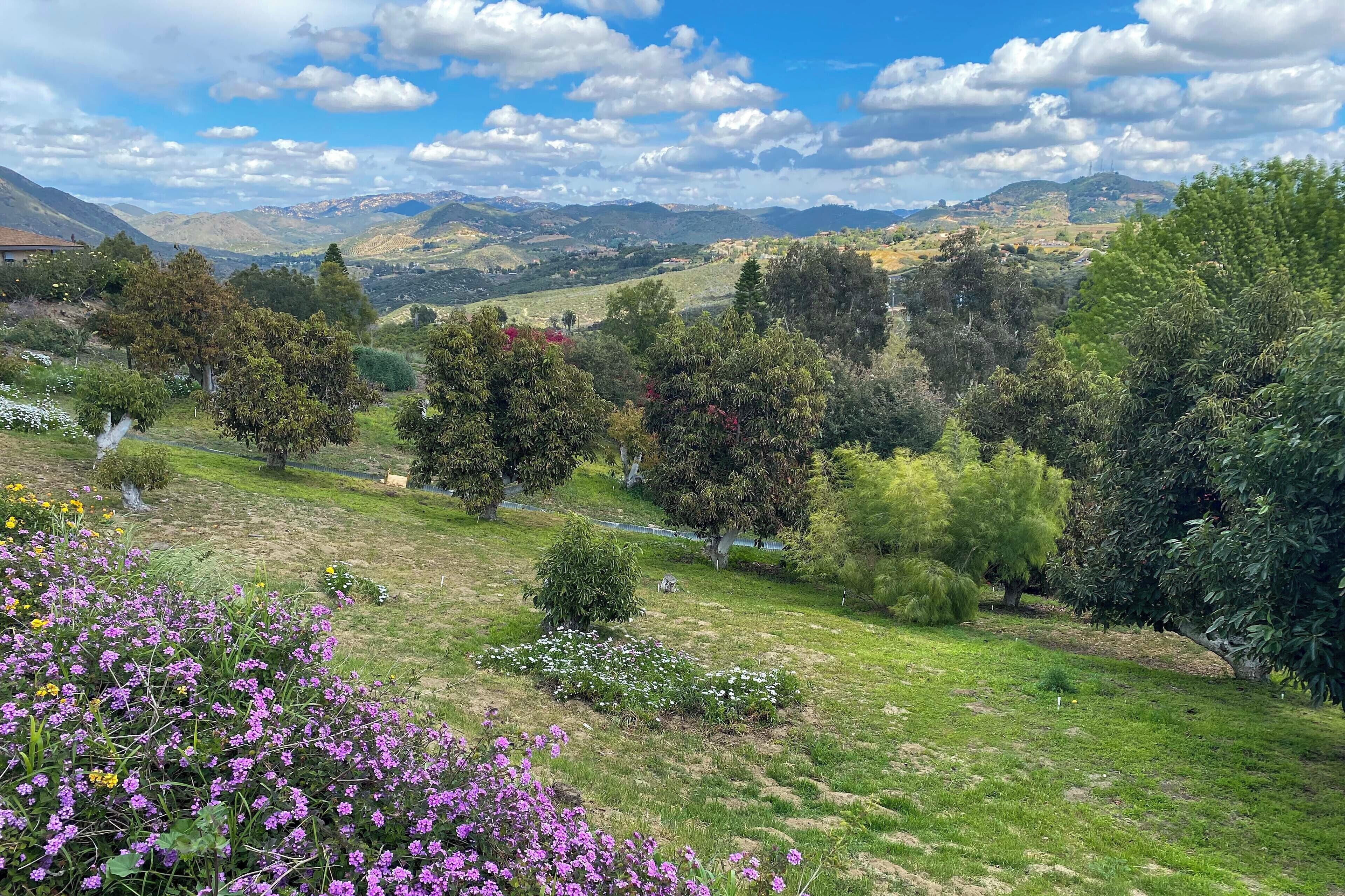 Un paysage verdoyant et luxuriant, parsemé d’une variété d’arbres et d’arbustes, sous un ciel dégagé, avec des montagnes qui se dessinent à l’horizon.
