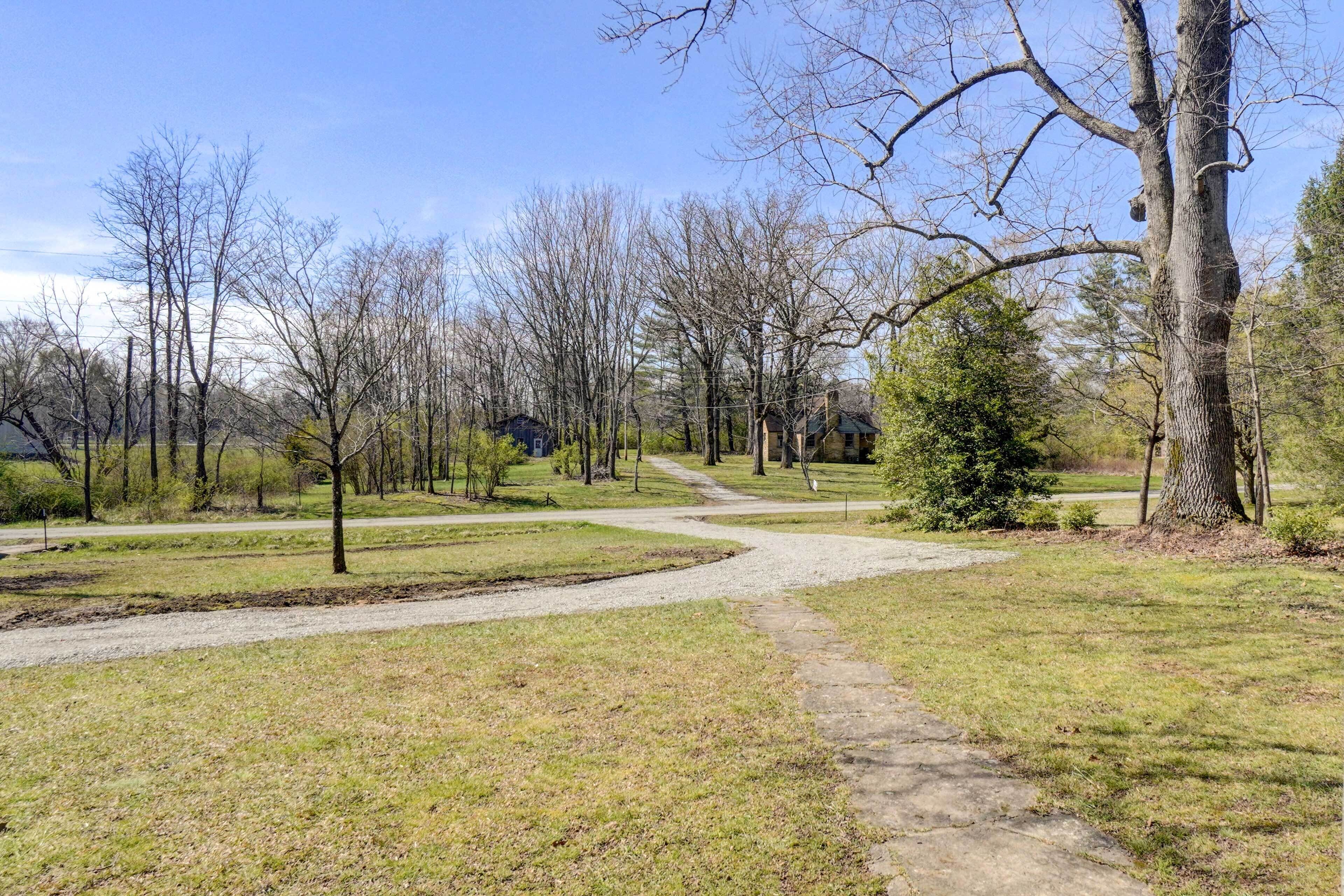 Un sendero en el parque con árboles y cielo despejado.