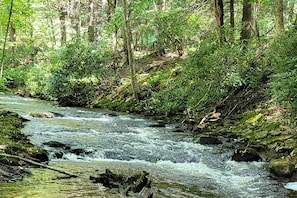 Een rivier die door een bebost gebied stroomt, met weelderige begroeiing en bomen.