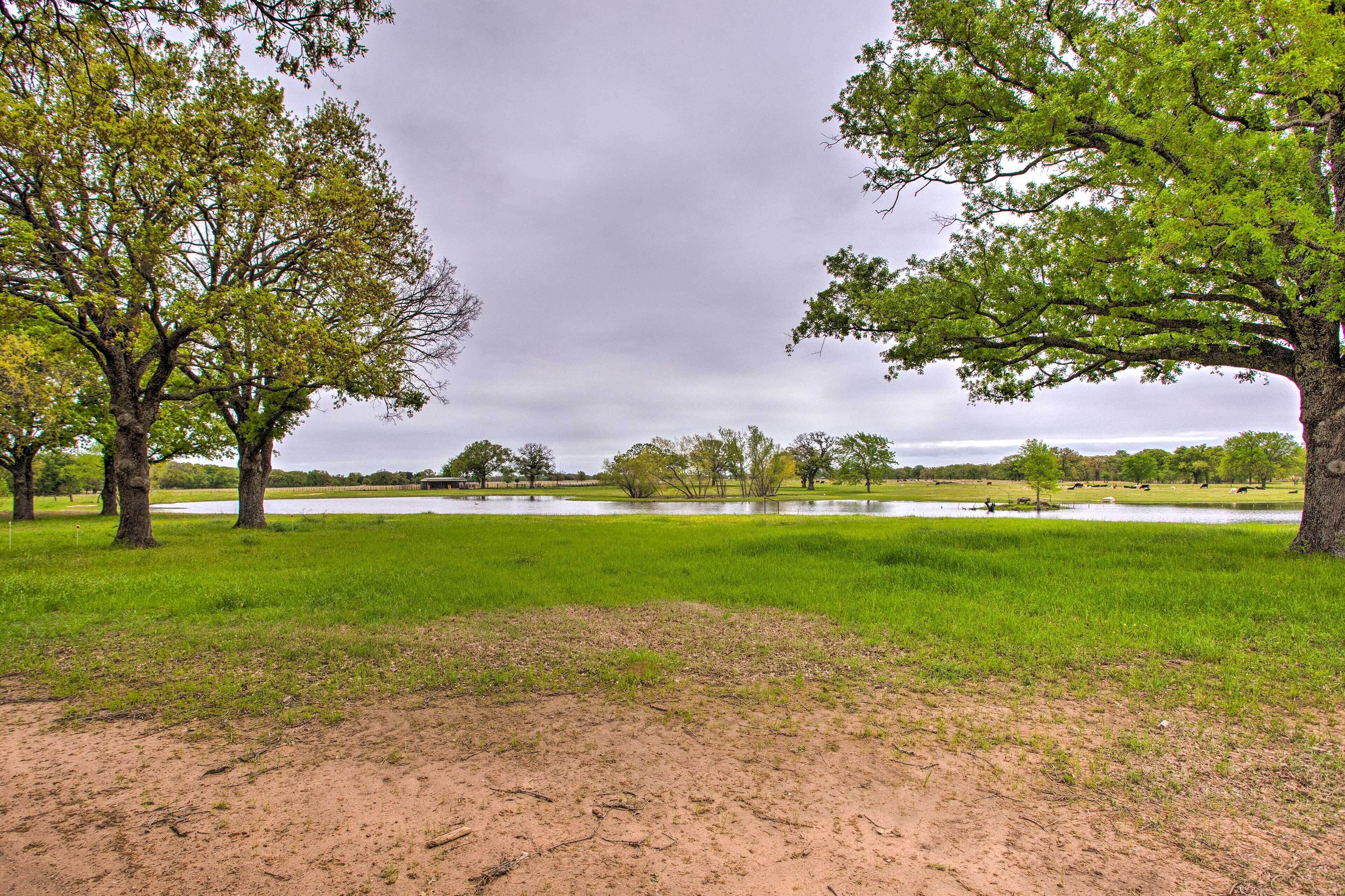 المنشأة من الداخل