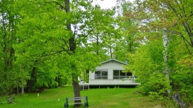 Une cabane entourée d’une végétation luxuriante, un quai menant à un petit bateau et un banc situé près de la cabane.