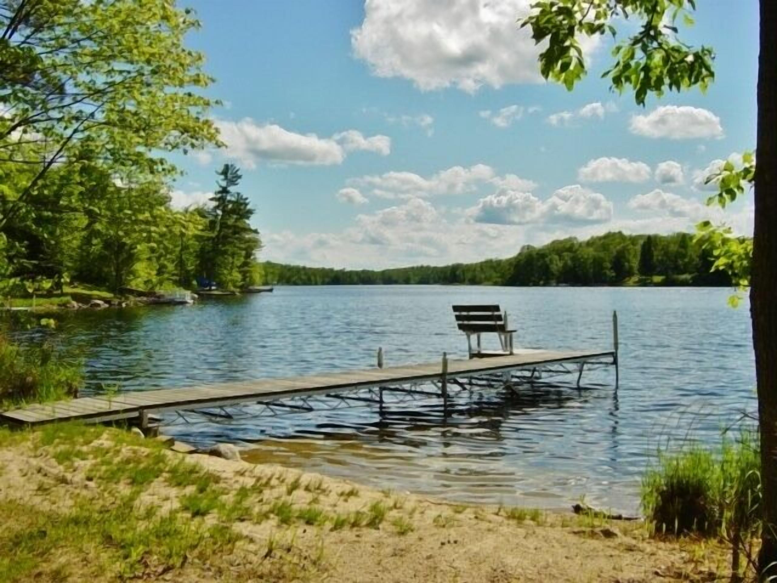 A lakeside scene with a wooden dock extending into calm water, surrounded by greenery and trees.
