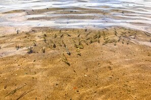 Hus (2 Bedrooms) | Innvendig